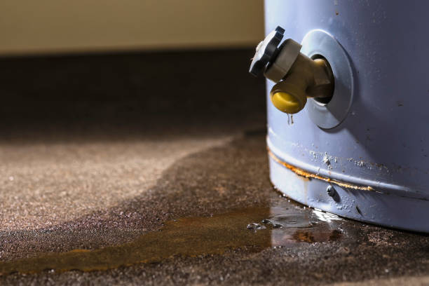 Best Water damage restoration near me  in Stanhope, NJ