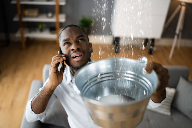 Best Water damage restoration experts  in Stanhope, NJ