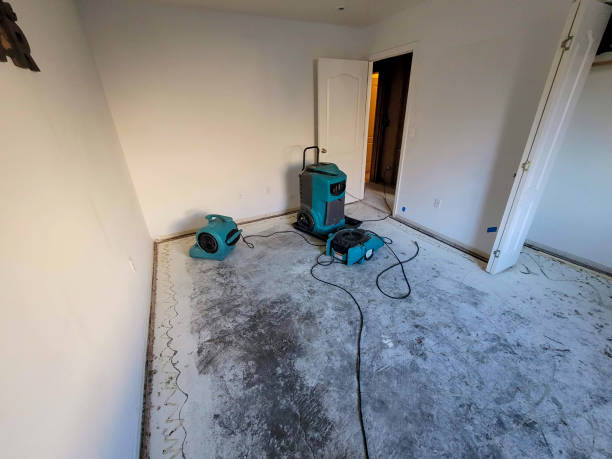 Best 24/7 water damage repair  in Stanhope, NJ
