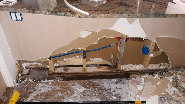 Best Mold removal after water damage  in Stanhope, NJ