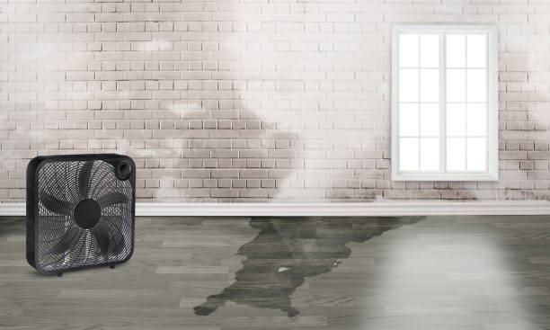 Best Water damage restoration services  in Stanhope, NJ