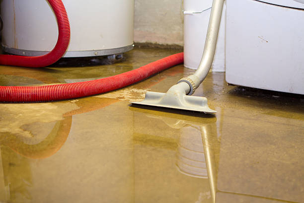 Best Water damage restoration near me  in Stanhope, NJ